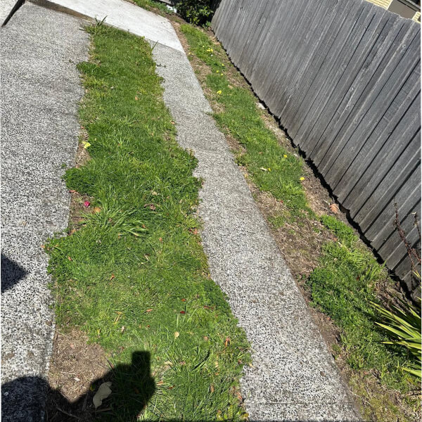 Gardening Services - Before